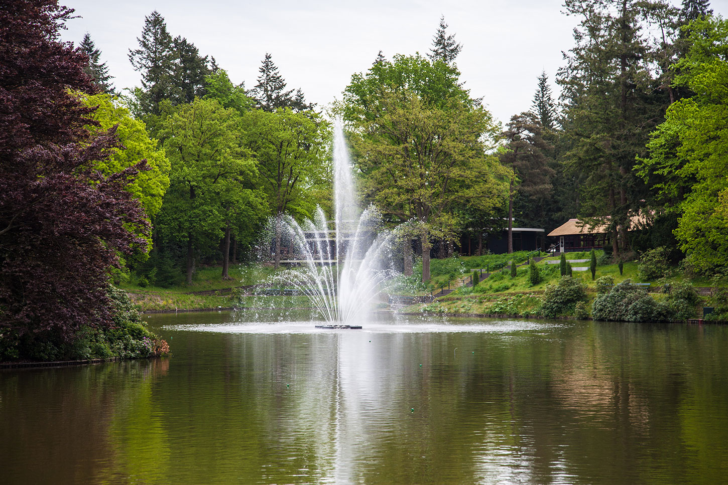 apeldoorn hotel berg en bos